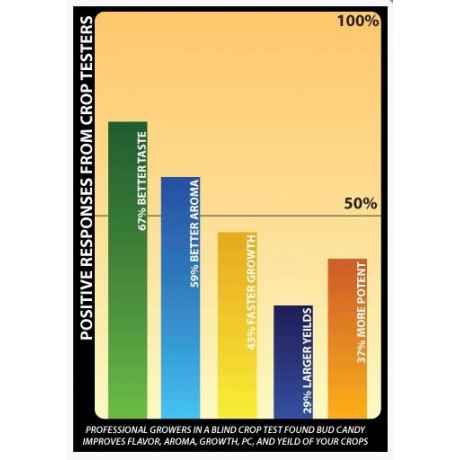 Advanced Nutrients - Bud Candy  1L